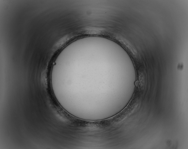 X0000102860682200809021424