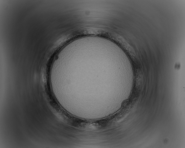 X0000102860683200809021424