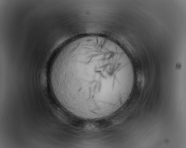 X0000102860684200809021424