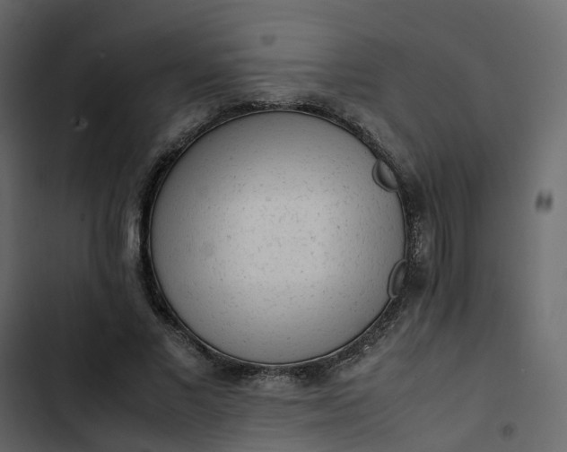 X0000102860685200809021424