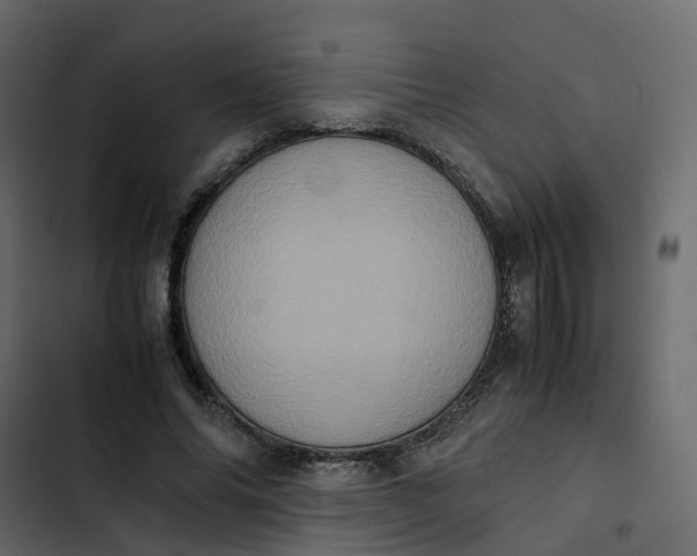 X0000102860686200809021424