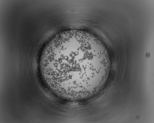 X0000102860687200809021424