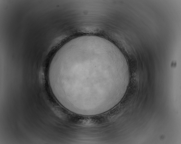 X0000102860688200809021424