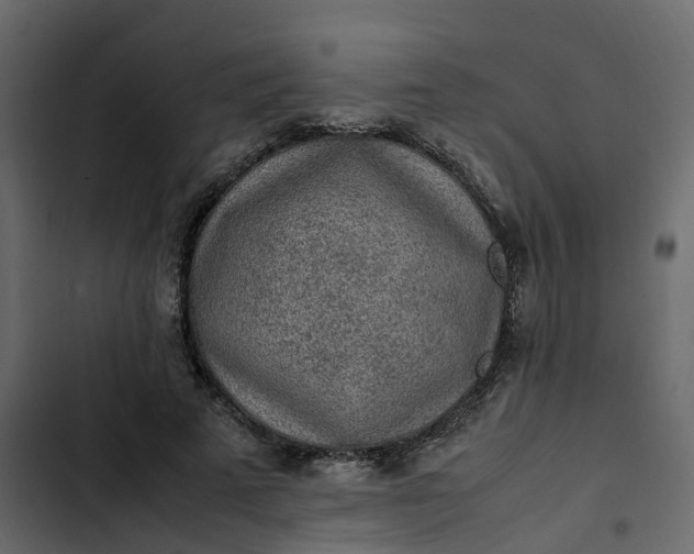 X0000102860689200809021424