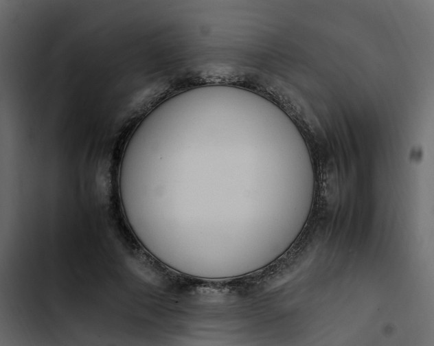 X0000102860690200809021424