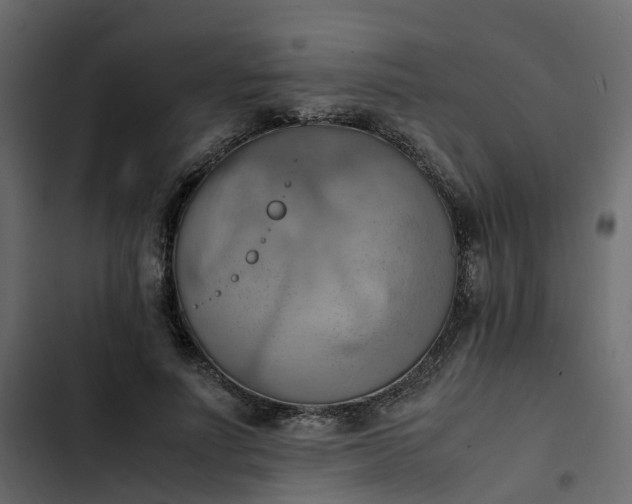 X0000102860691200809021424