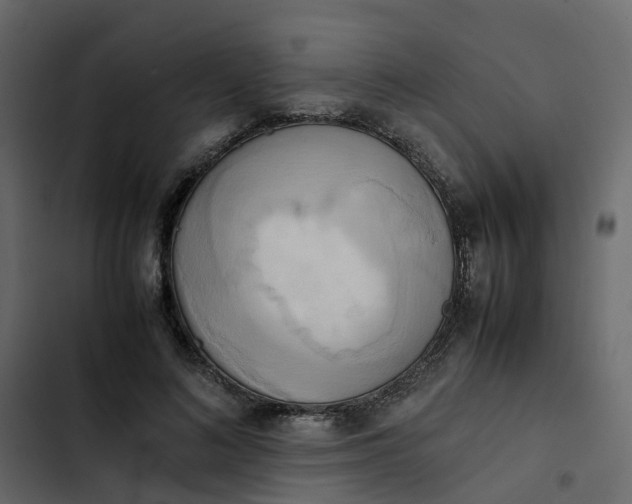 X0000102860692200809021424