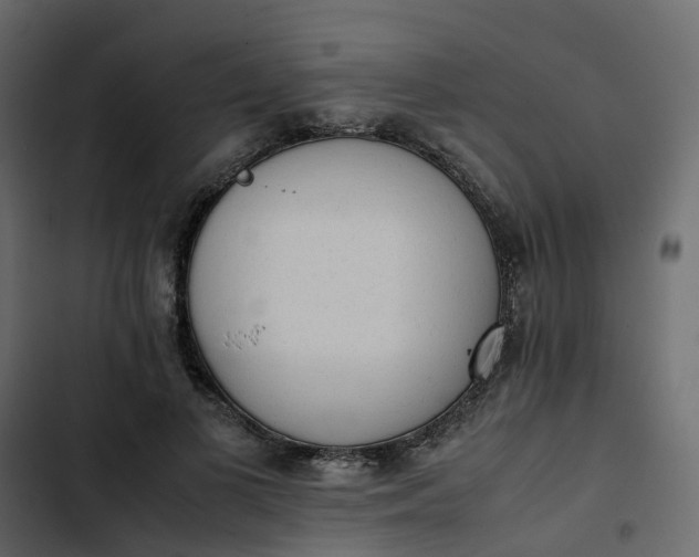 X0000102860693200809021424