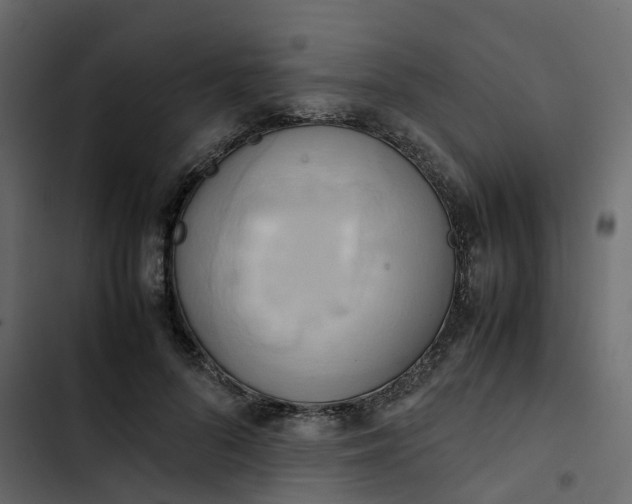 X0000102860696200809021424