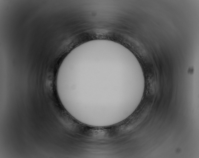 X0000102860698200809021424