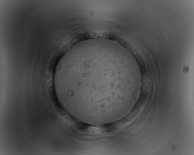 X0000102860699200809021424