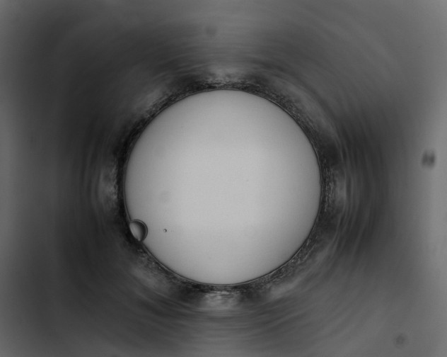 X0000102860700200809021424