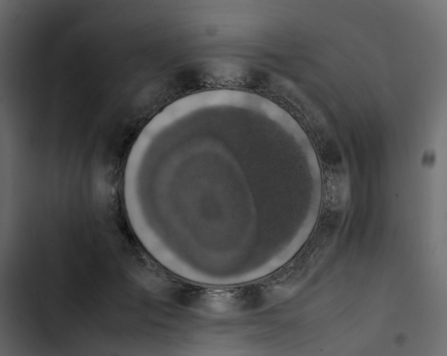 X0000102860701200809021424