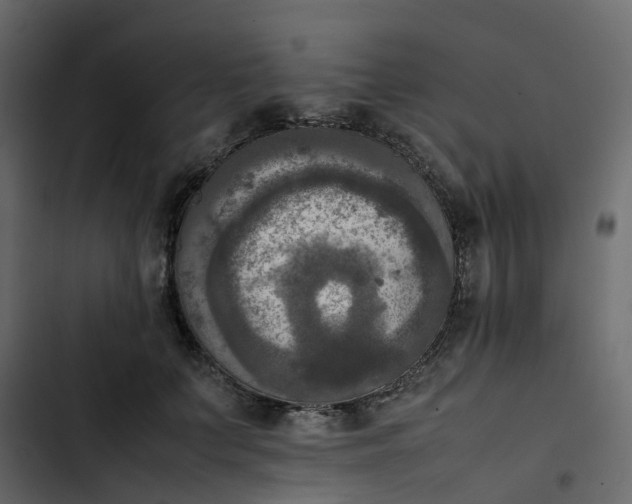 X0000102860703200809021424