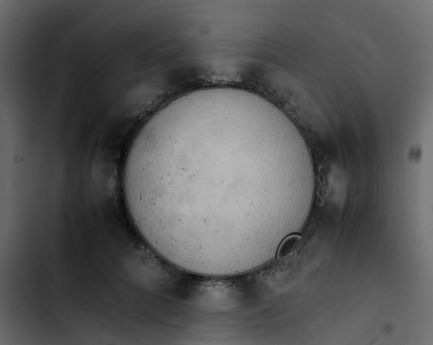 X0000102860704200809021424