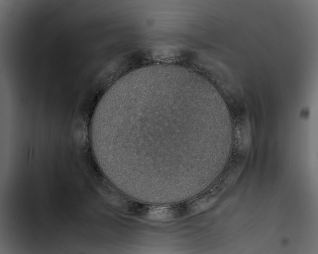 X0000102860705200809021424