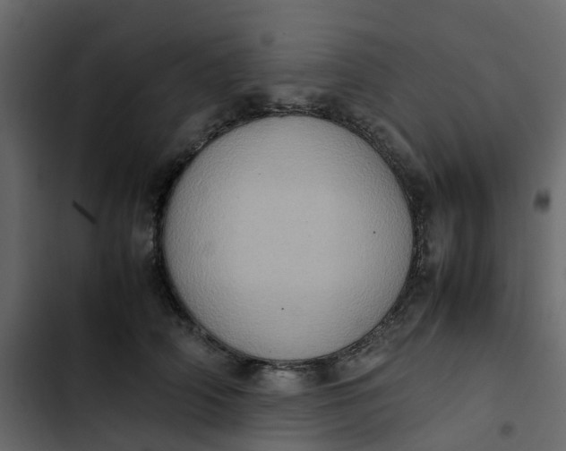 X0000102860706200809021424