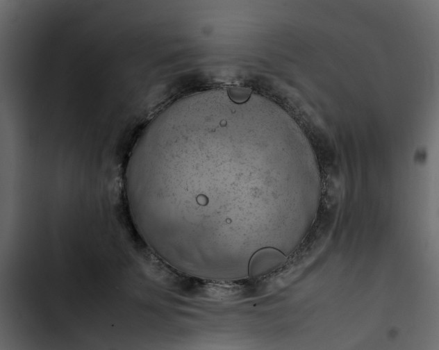 X0000102860707200809021424