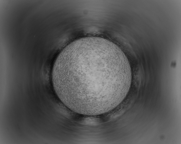 X0000102860708200809021424