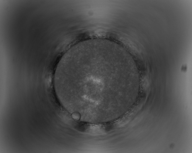 X0000102860709200809021424