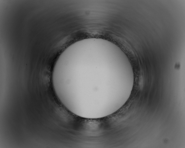 X0000102860710200809021424