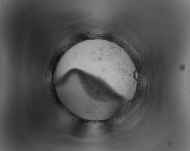 X0000102860711200809021424