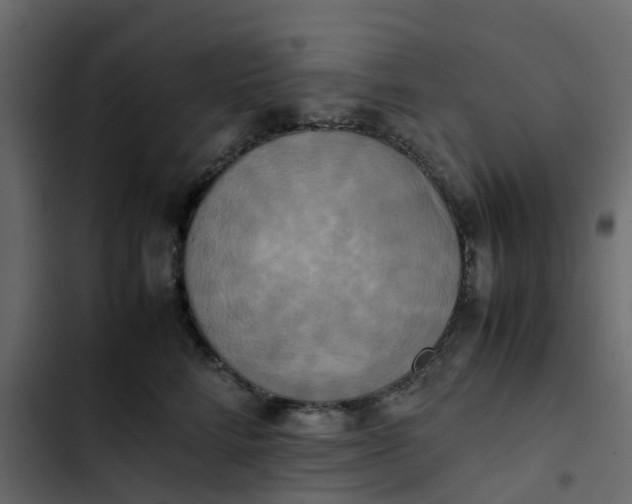 X0000102860712200809021424