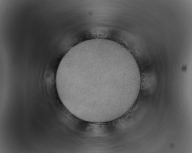 X0000102860713200809021424