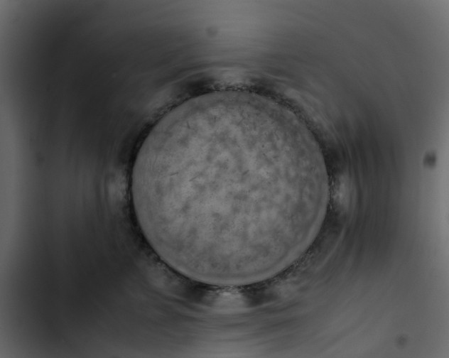 X0000102860715200809021424