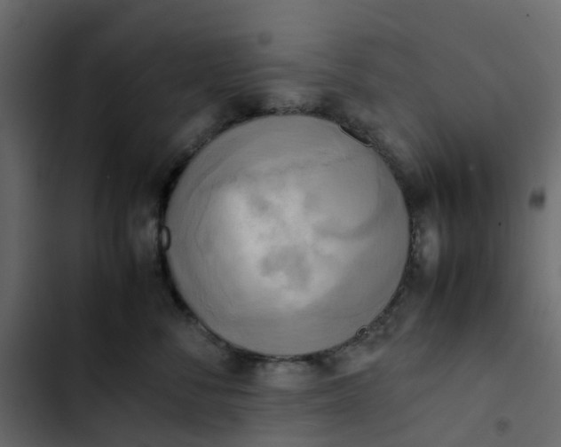 X0000102860716200809021424