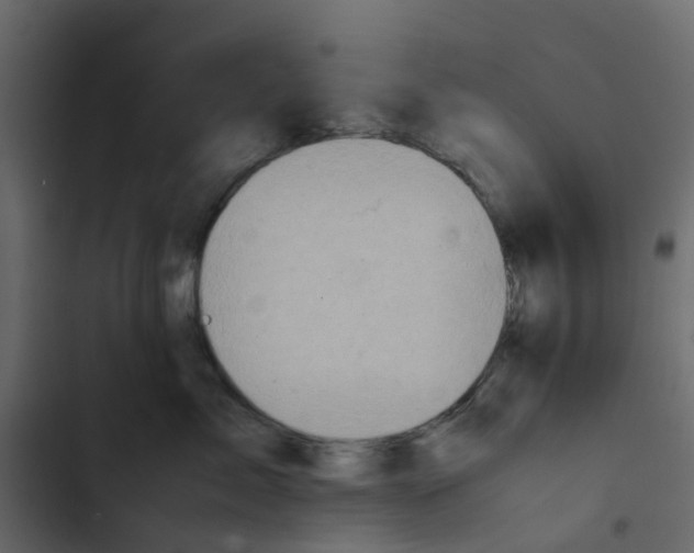 X0000102860717200809021424