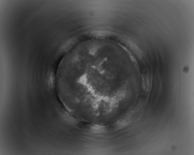 X0000102860718200809021424