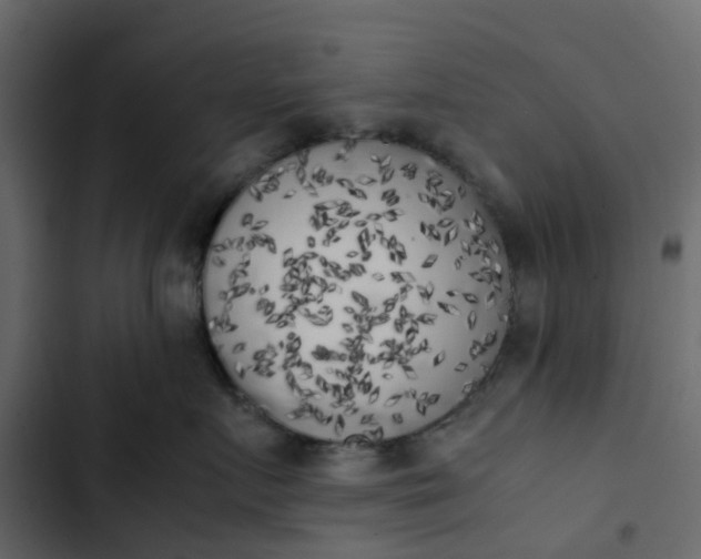 X0000102860719200809021424