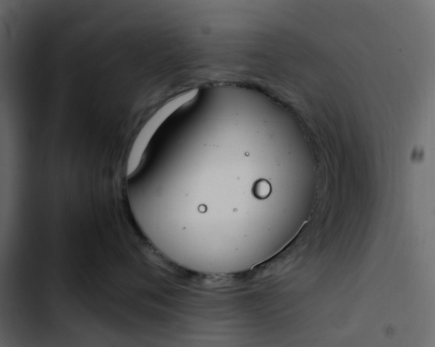 X0000102860720200809021424