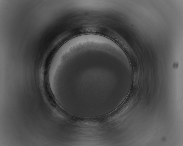 X0000102860722200809021423