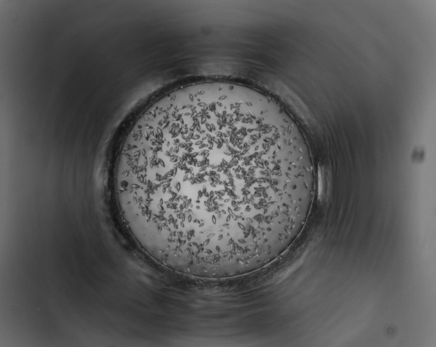 X0000102860723200809021423