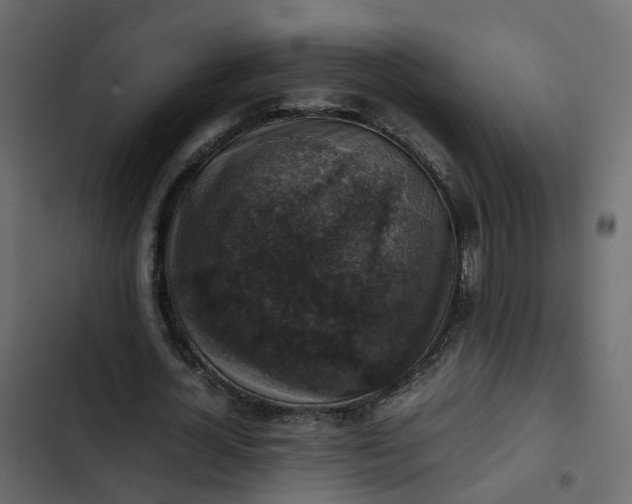 X0000102860724200809021423