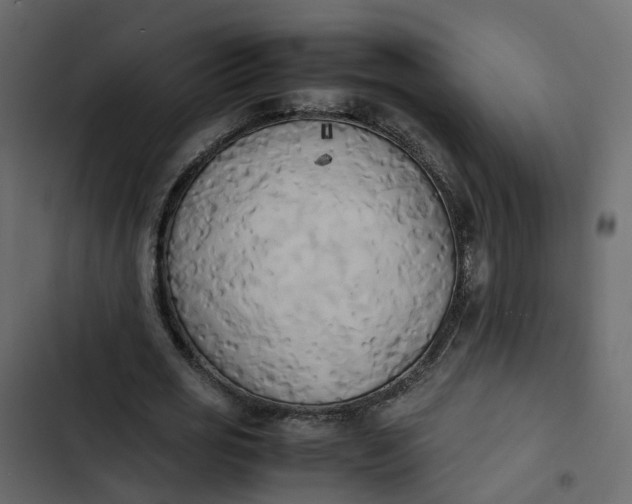 X0000102860725200809021423