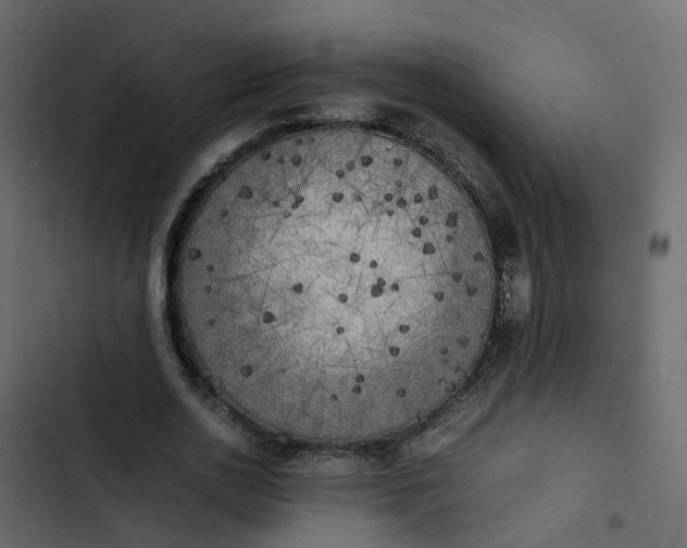 X0000102860726200809021423