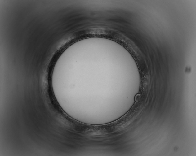 X0000102860727200809021423