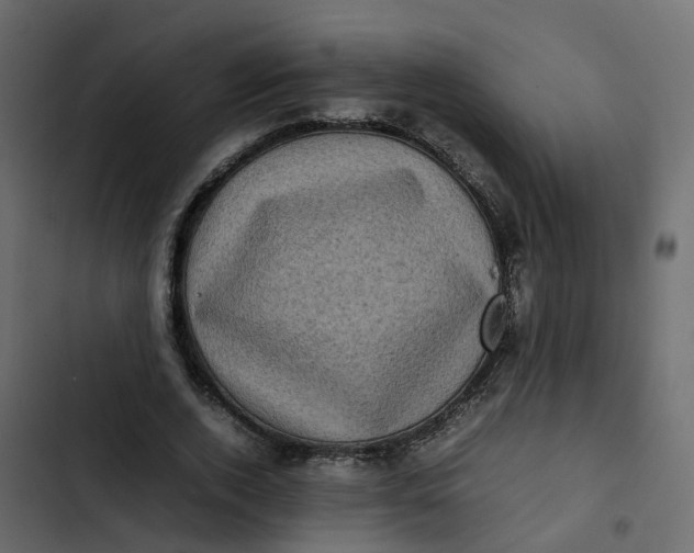 X0000102860728200809021423