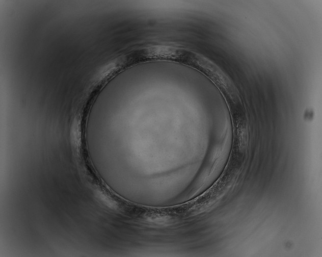 X0000102860729200809021423