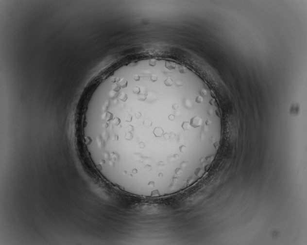 X0000102860730200809021423