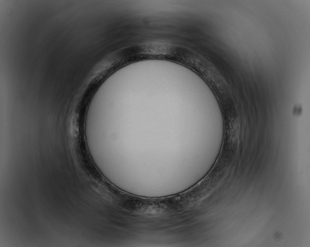 X0000102860731200809021423