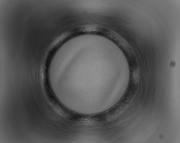 X0000102860732200809021423