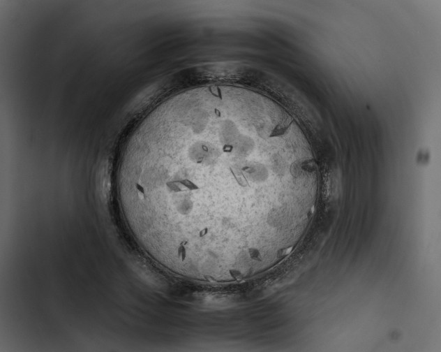 X0000102860733200809021423