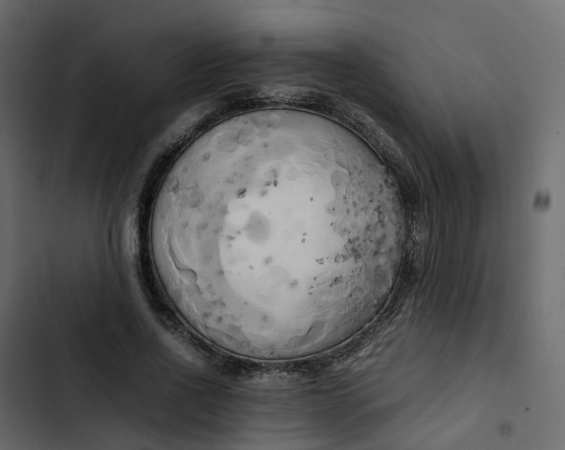 X0000102860734200809021423