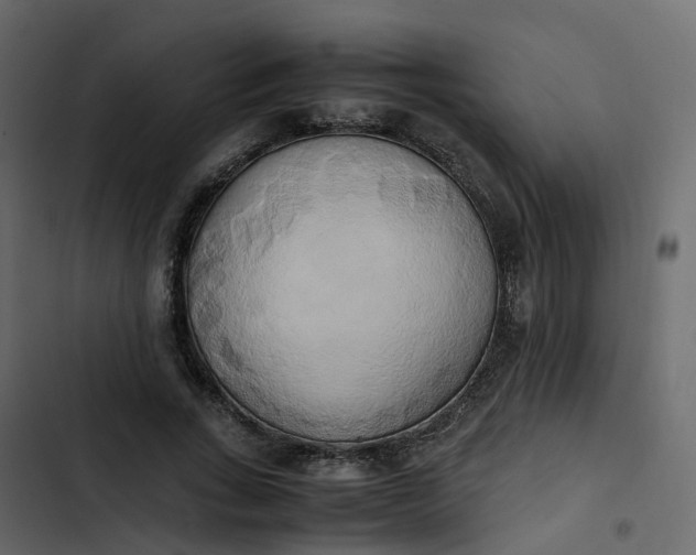 X0000102860735200809021423