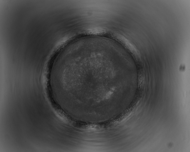 X0000102860736200809021423