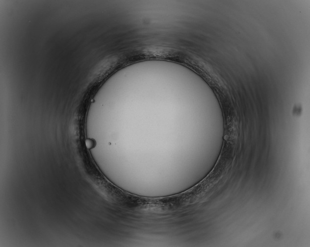 X0000102860738200809021423